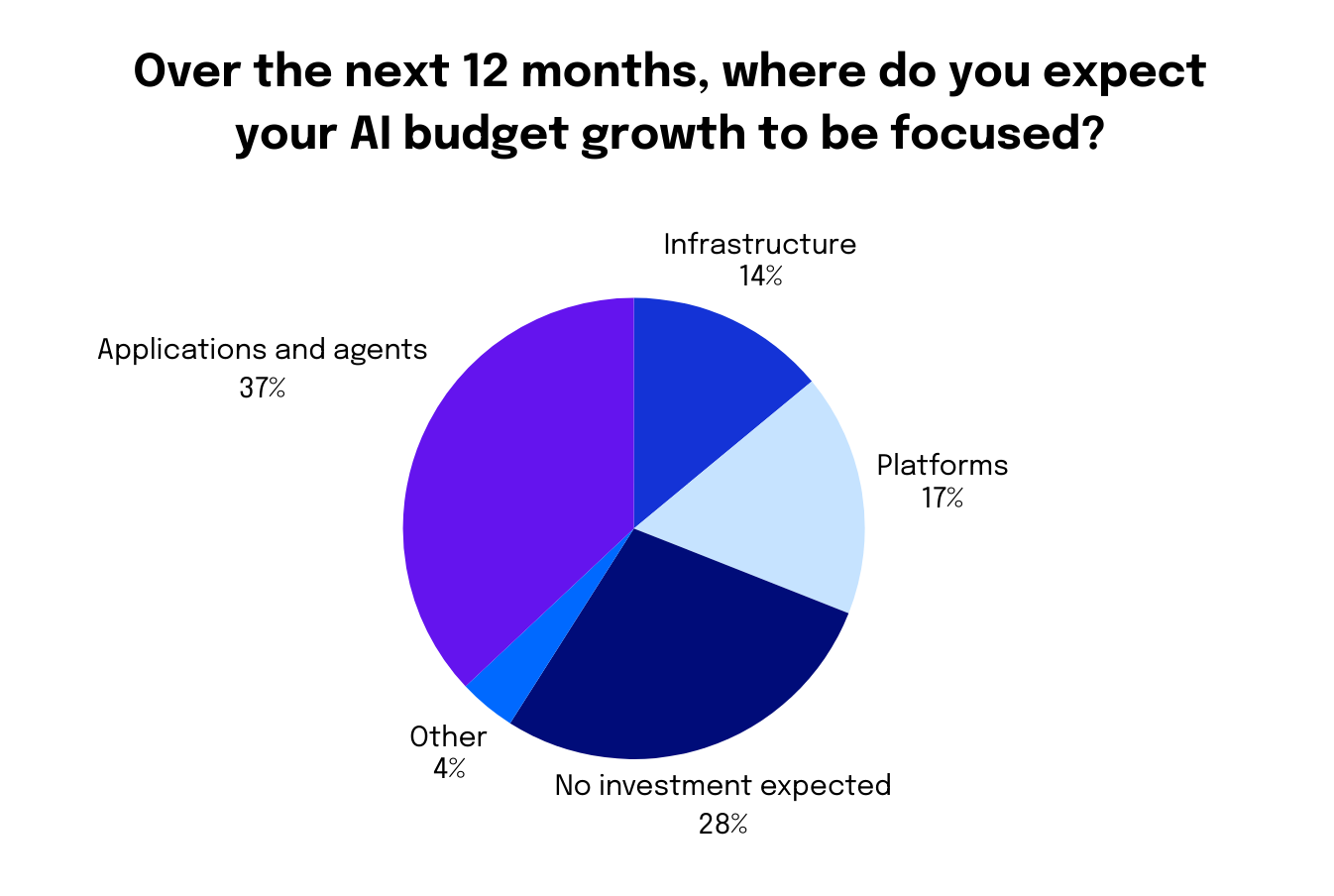 Over the next 12 months, where do you expect your AI budget growth to be focused graph